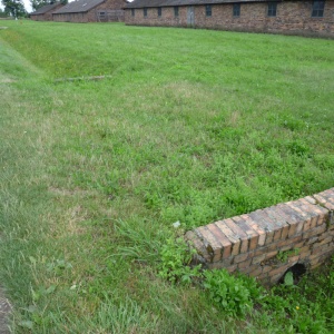 a-P1010377.JPG