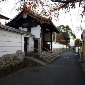 P1000142.JPG