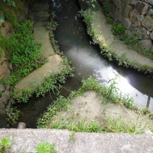 a-P1030200.JPG