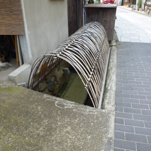 a-P1030211.JPG