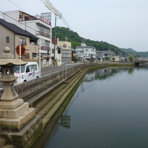a-P1030221.JPG